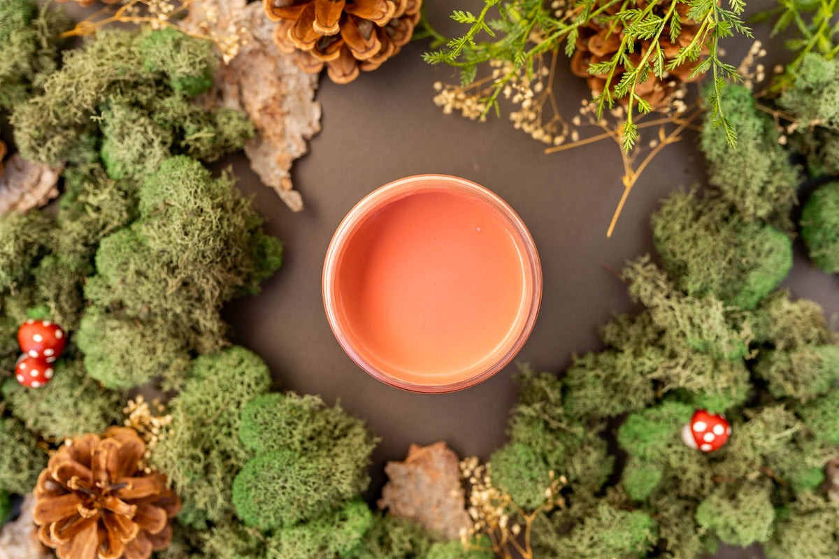 A small round jar filled with a peach-pink paint, surrounded by green moss, pinecones, dried leaves, and small red-and-white mushrooms on a dark gray background.