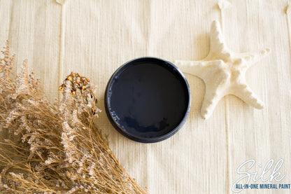 Deep Sea paint container of Silk all-in-one mineral paint on a textured surface with dried plants and a starfish.
