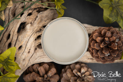 dried sage paint surrounded by natural elements like pinecones and driftwood on a dark background