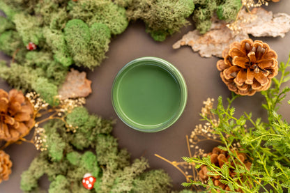Green paint jar on a dark surface surrounded by greenery and pine cones