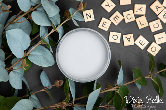 Dixie Belle Paint color Manatee gray container with green leaves and scattered letters on a dark surface, featuring the brand 'Dixie Belle'.