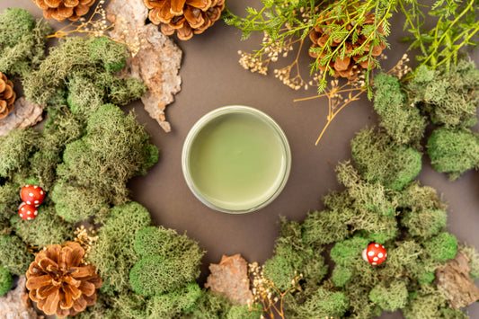Dixie Belle paint color Weeping Willow on a brown surface surrounded by greenery and pinecones
