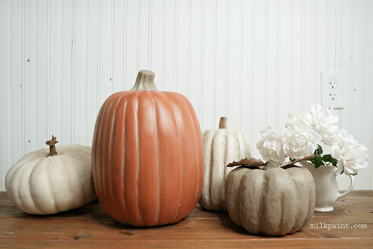 Four decorative pumpkins in assorted autumn colors arranged on a wooden table against a white paneled wall, with white flowers in a small white pitcher beside them. A watermark reading milkpaint.