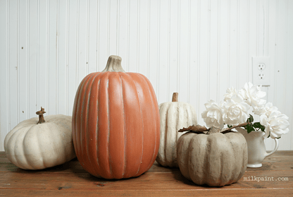 Four decorative pumpkins in assorted autumn colors arranged on a wooden table against a white paneled wall, with white flowers in a small white pitcher beside them. A watermark reading milkpaint.
